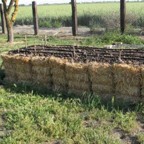 Straw Bale Gardens